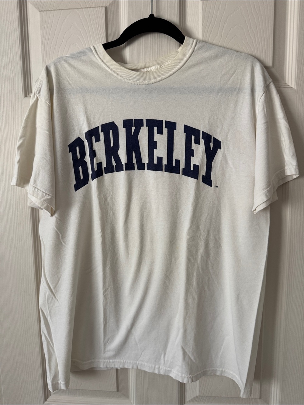 VIntage Berkeley Tee